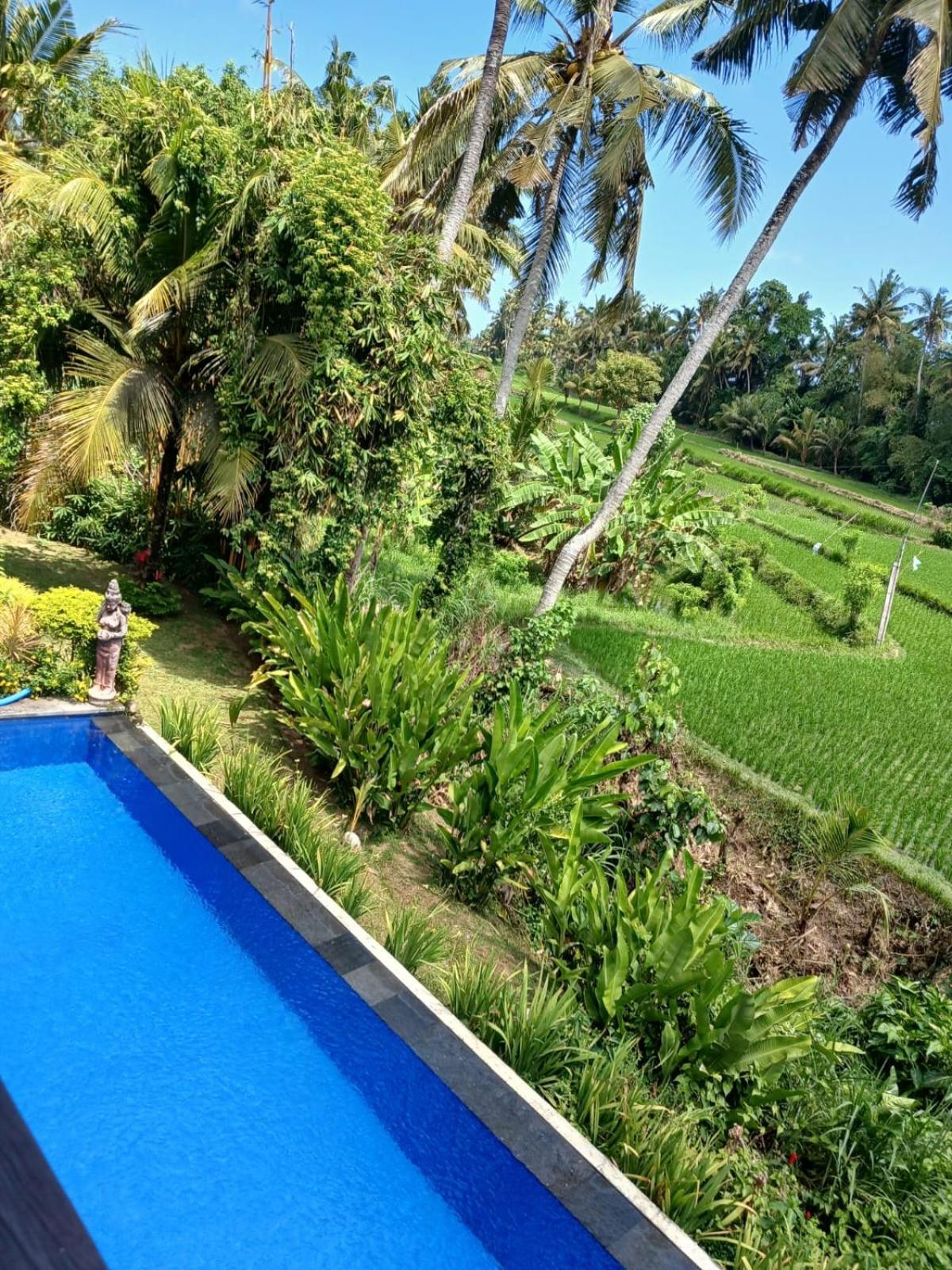Sunset Pandawa Villa Убуд Екстер'єр фото